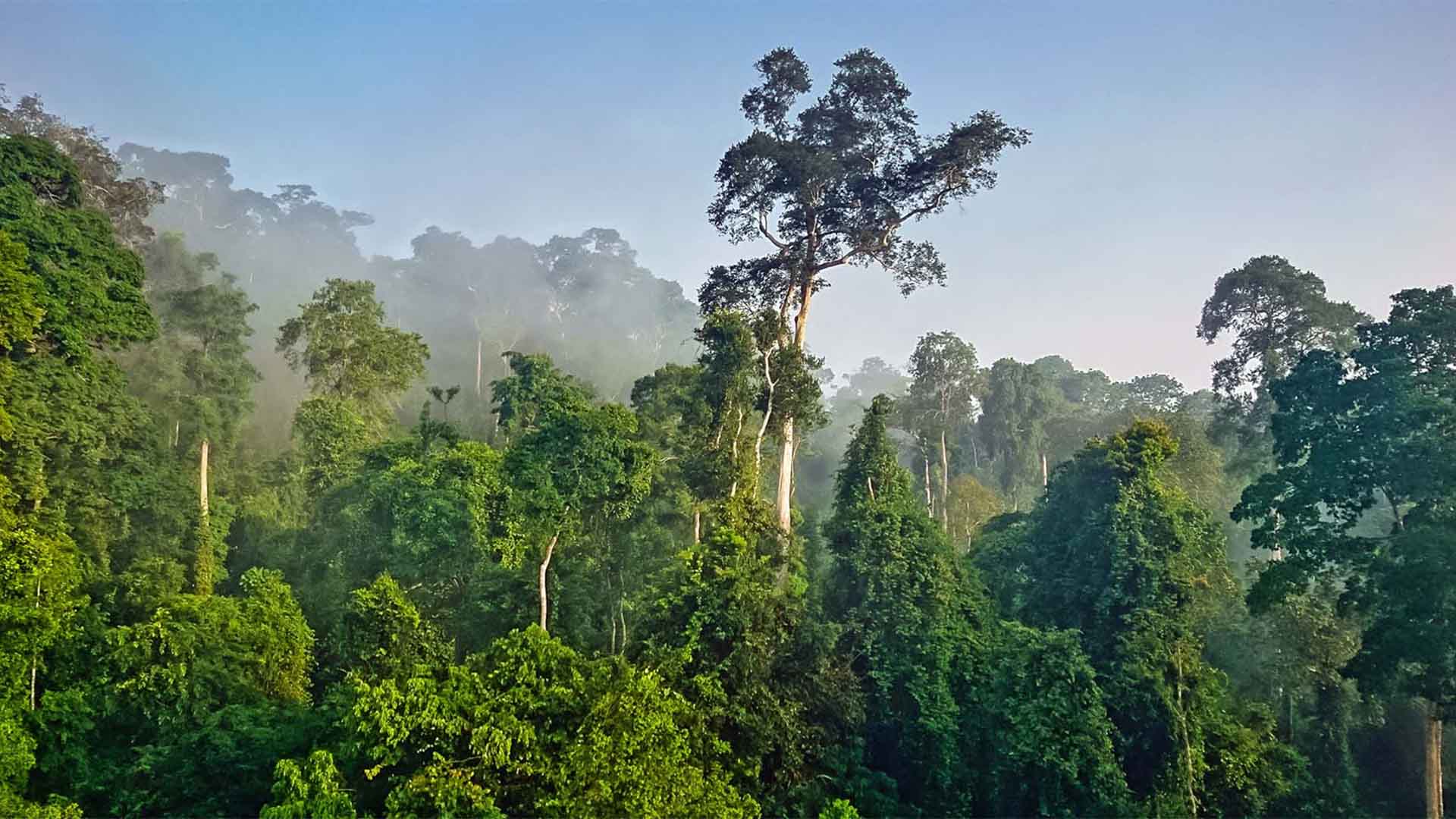 Jegribekala exploration site